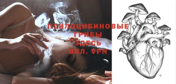 прущие крисы Алзамай